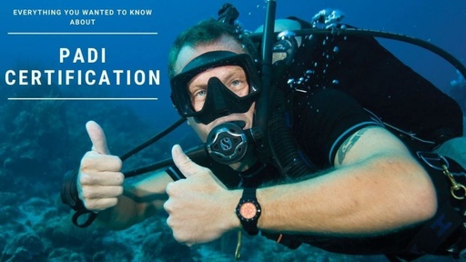 Scuba Diving Discovery